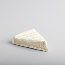 Queijo Vegan "Brito" 1